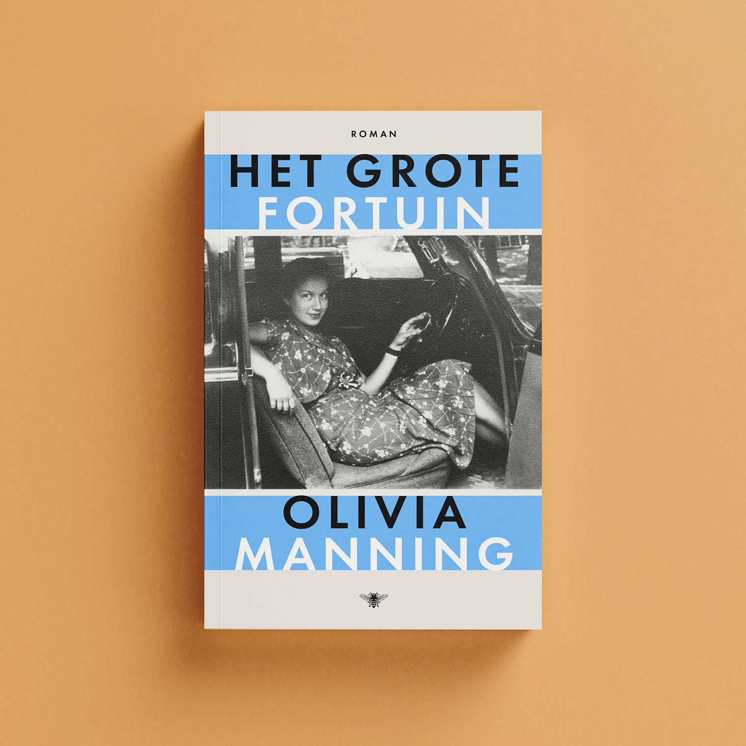Het-Grote-Fortuin_Website-front