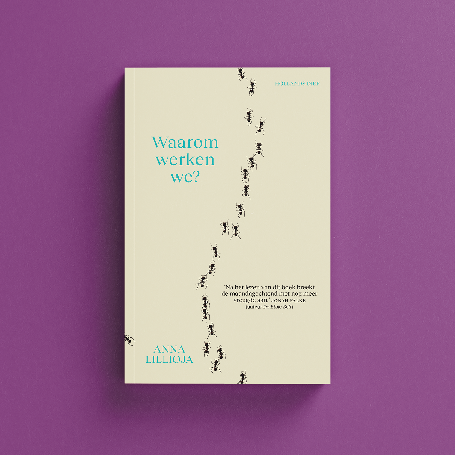 Waarom-werken-we_Website-front